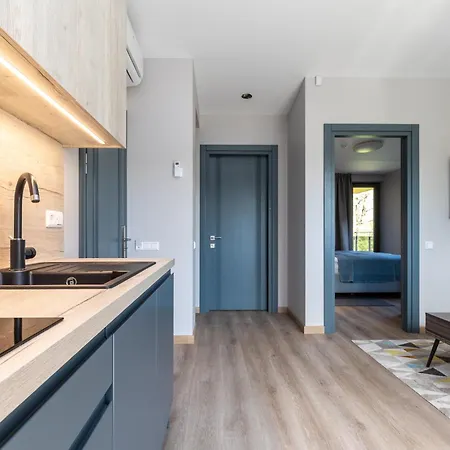 Orange Паланга