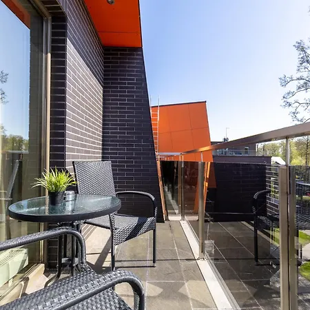 Orange Паланга